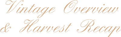 Vintage Overview & Harvest Recap