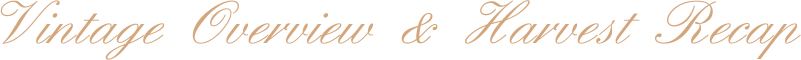 Vintage Overview & Harvest Recap